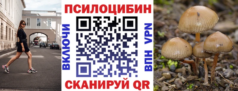 закладка  Тутаев  Псилоцибиновые грибы мухоморы 